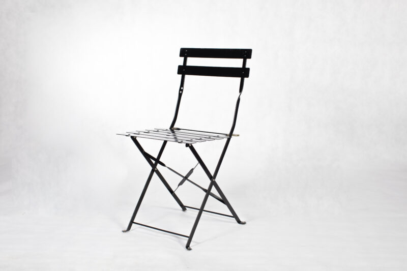 Botanical Chair - Black