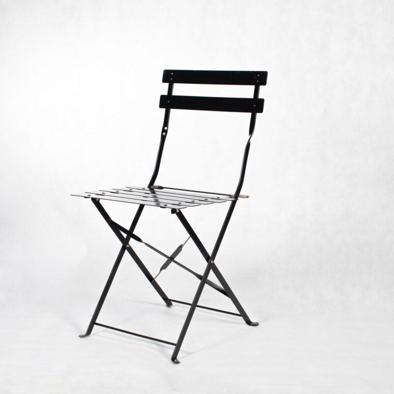 Botanical Chair - Black